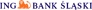 ING Bank �l�ski