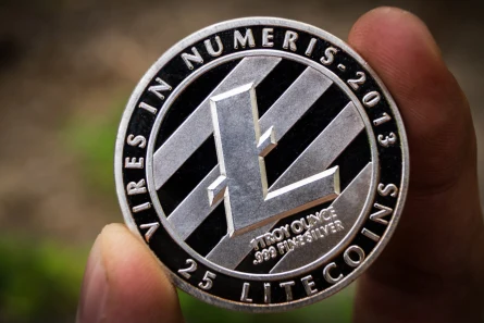 Litecoin w centrum uwagi: wzrost, ETF-y i strategia dużych graczy