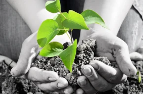 Jak wiedza finansowa wpływa na długoterminowe wyniki