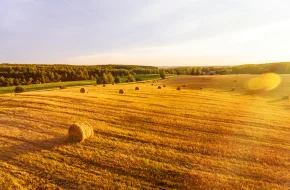 Niepewne wzrosty na rynku ropy naftowej