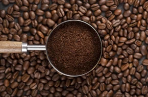 Robusta vs arabica: która kawa bardziej odczuje powrót deszczy?