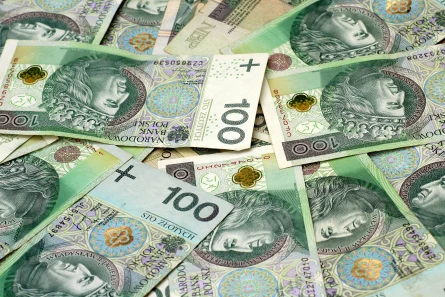 Wyhamowanie spadków na PLN, EBC zaszkodził EUR