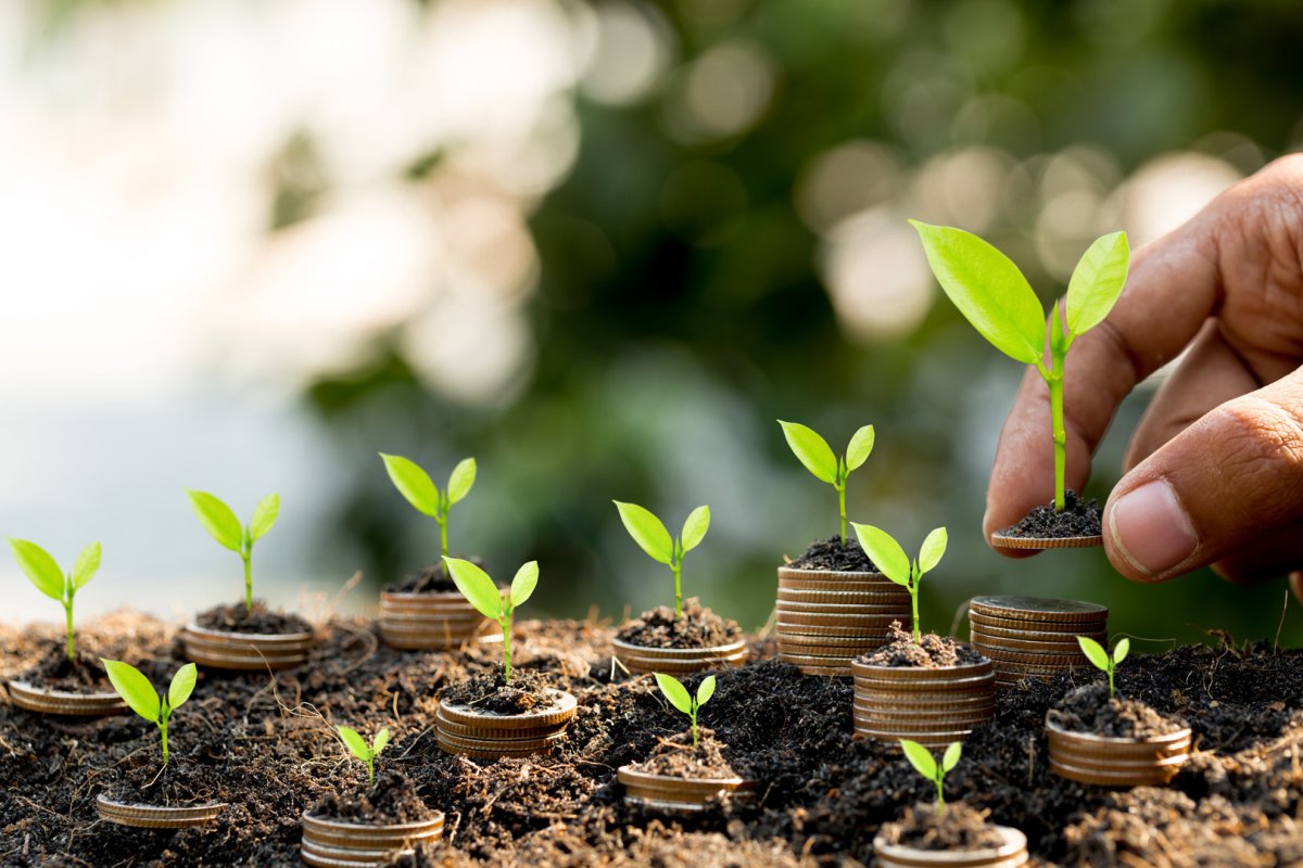 BoE nie zmienił stóp procentowych