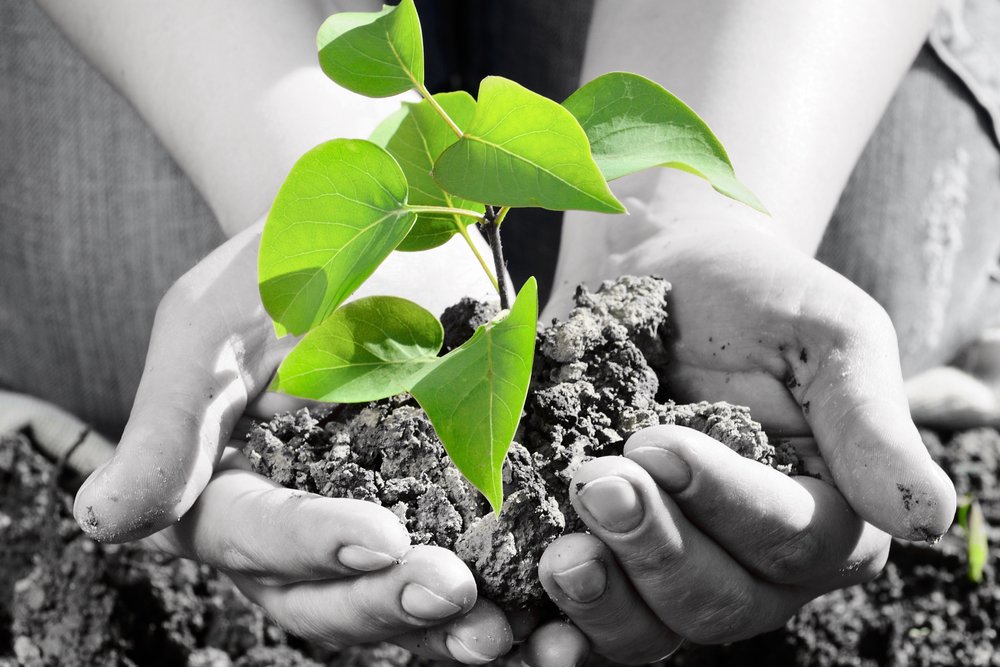 Budżet ma nadwyżkę