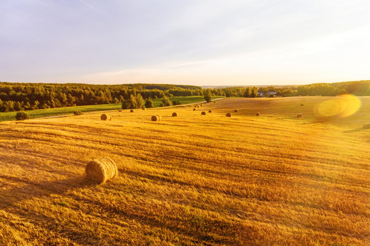 Spokojny początek tygodnia na rynku ropy naftowej