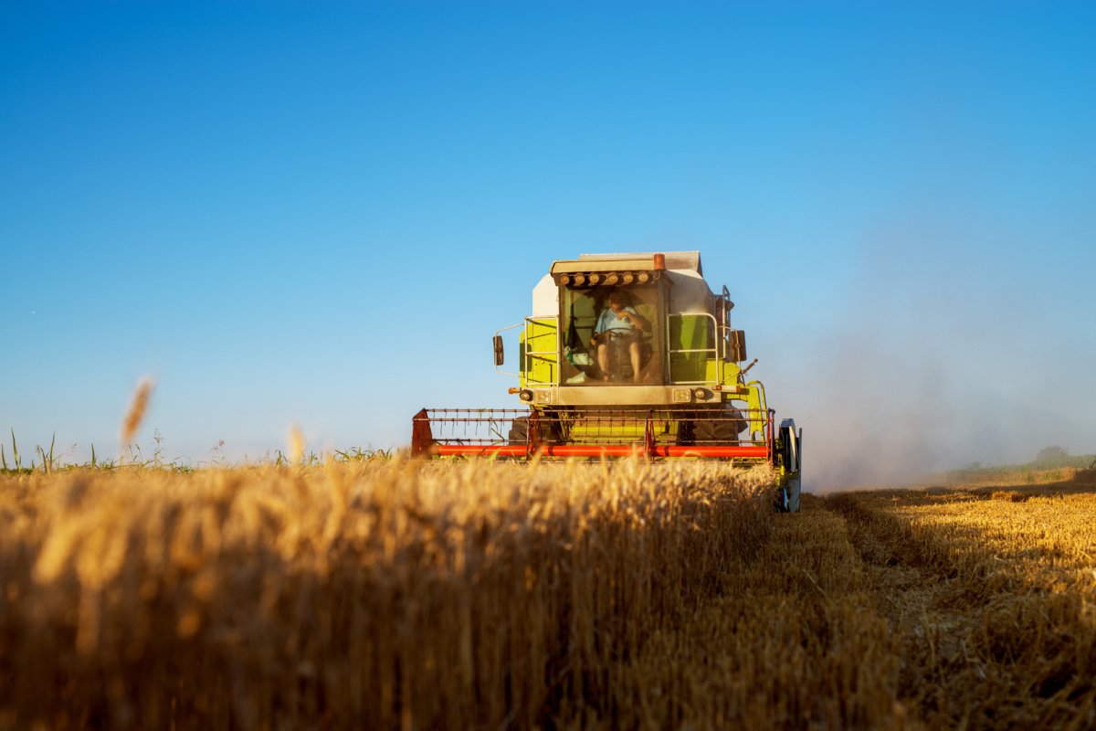 OPEC: Prognozy wzrostu popytu na ropę w Chinach