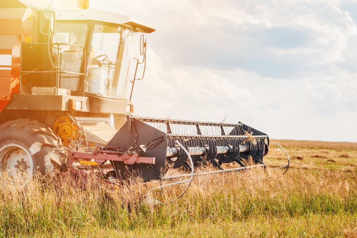 Ostatni dzień rekordowo niskich limitów produkcji ropy naftowej w OPEC+